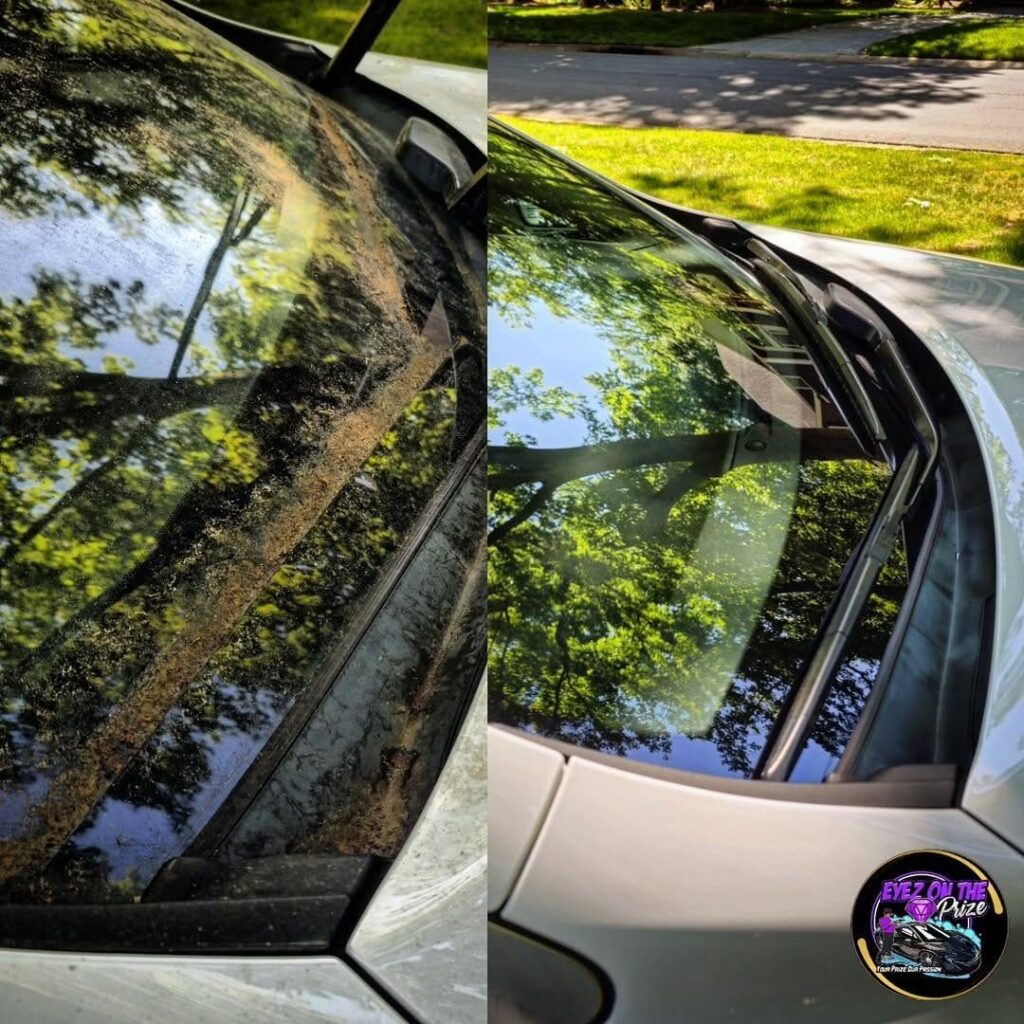 Side by side comparison of a car windshield and cowl covered in pollen and dirt, then cleaned to a clear finish.