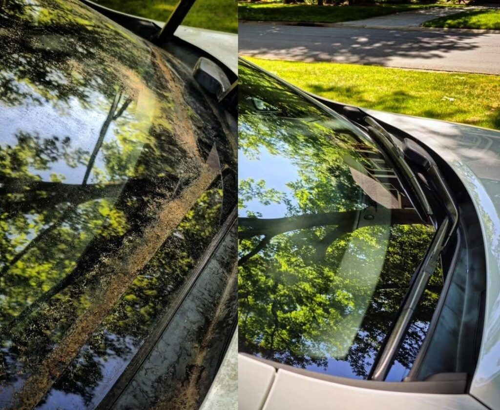 Side by side comparison of a car windshield and cowl covered in pollen and dirt, then cleaned to a clear finish.